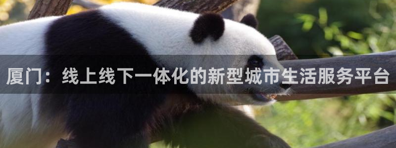 摩登7彩票平台登陆总代：厦门：线上线下一体化的新型城市生活服