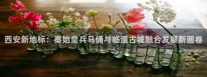 摩登7平台信誉：西安新地标：秦始皇兵马俑与临潼古城融合发展新