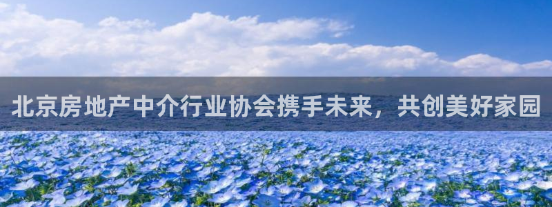 摩登口碑7：北京房地产中介行业协会携手未来，共创美好家园