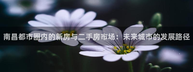 摩登7娱乐找qv382223：南昌都市圈内的新房与二手房市场
