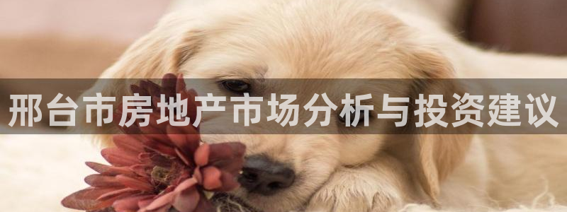 摩登平台局7O777：邢台市房地产市场分析与投资建议