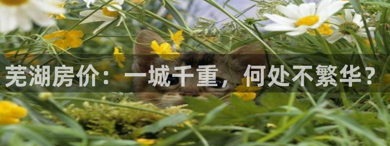 摩登5天7O667：芜湖房价：一城千重，何处不繁华？