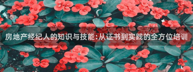 摩登7高阶：房地产经纪人的知识与技能:从证书到实践的全方位培