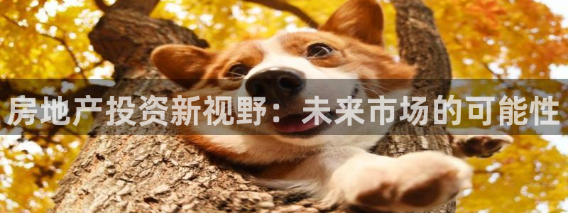 摩登7平台首页：房地产投资新视野：未来市场的可能性