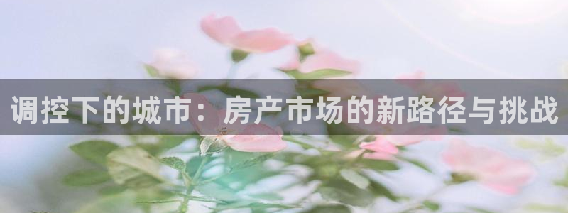 摩登7招商：调控下的城市：房产市场的新路径与挑战
