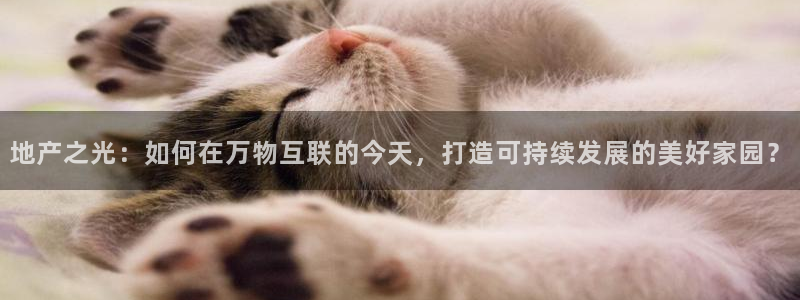 摩登7属于什么平台：地产之光：如何在万物互联的今天，打造可持