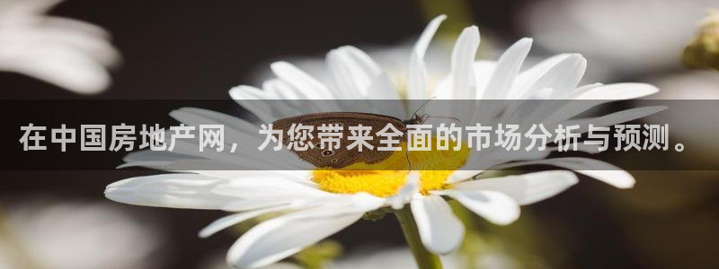 摩登7登录地址：在中国房地产网，为您带来全面的市场分析与预测