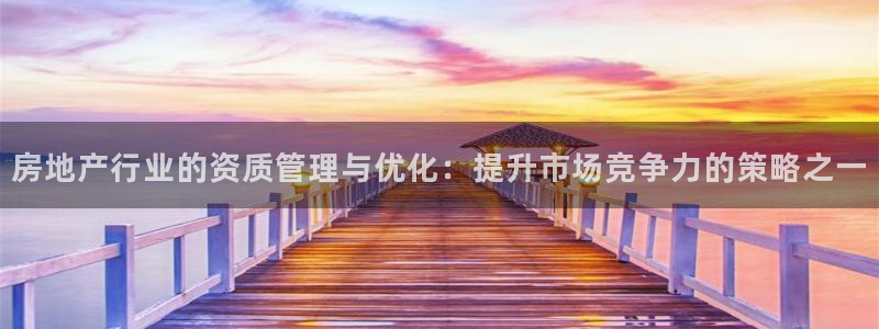 国际版摩登世界7：房地产行业的资质管理与优化：提升市场竞争力