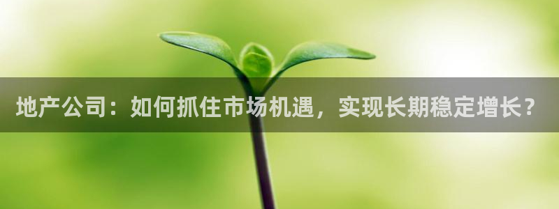 摩登7安全吗：地产公司：如何抓住市场机遇，实现长期稳定增长？