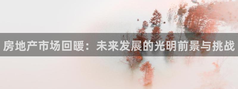摩登7 1：房地产市场回暖：未来发展的光明前景与挑战