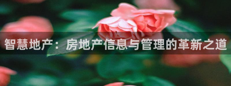 摩登7平台登陆：智慧地产：房地产信息与管理的革新之道