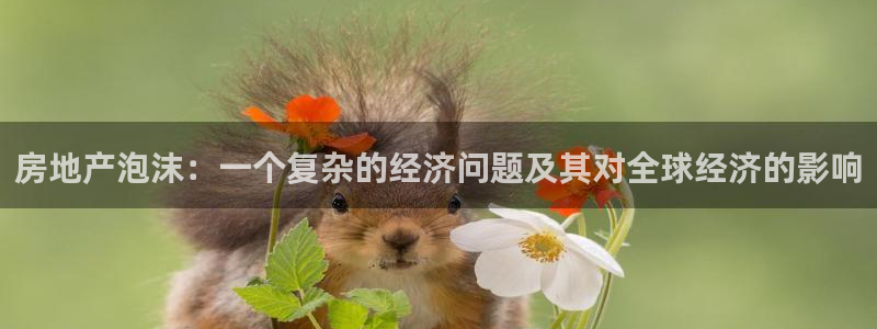 摩登7招商议333OO：房地产泡沫：一个复杂的经济问题及其对
