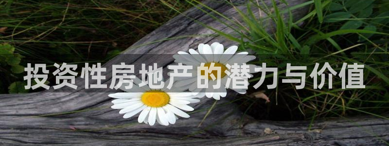 摩登4天7O667：投资性房地产的潜力与价值
