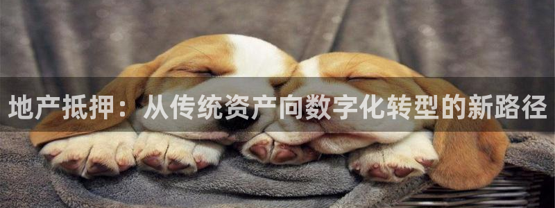 摩登7平台登录地址：地产抵押：从传统资产向数字化转型的新路径