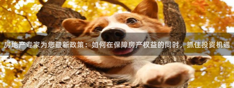 摩登3冯7O667：房地产专家为您最新政策：如何在保障房产权