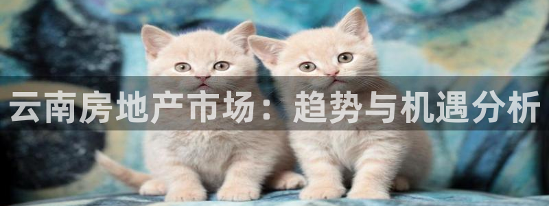 摩登7 1：云南房地产市场：趋势与机遇分析