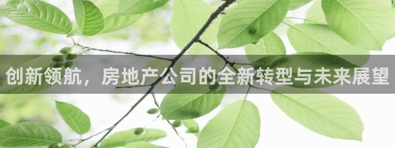 摩登7平台注册登录：创新领航，房地产公司的全新转型与未来展望