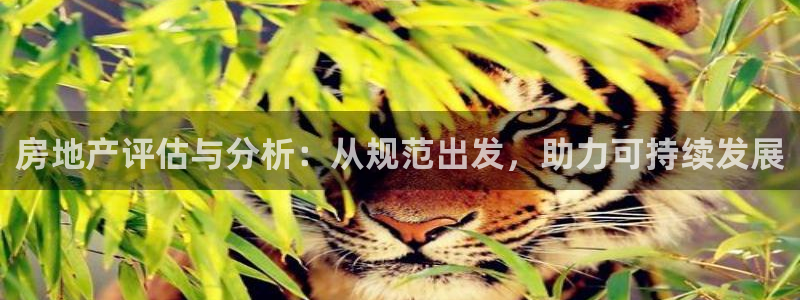 摩登7注册地址：房地产评估与分析：从规范出发，助力可持续发展