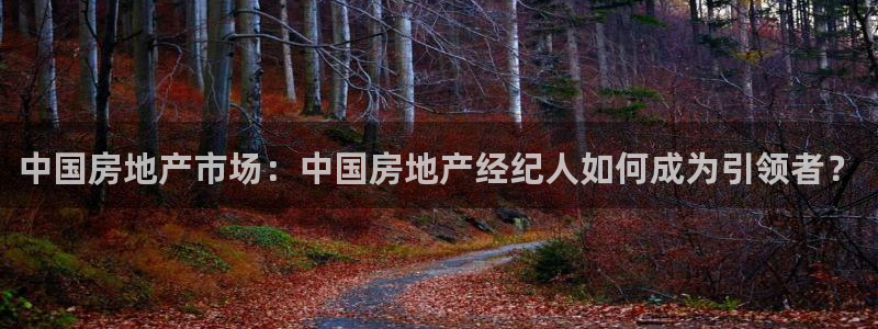 摩登7注册快333OO：中国房地产市场：中国房地产经纪人如何