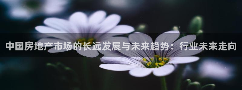 摩登6吕7O667：中国房地产市场的长远发展与未来趋势：行业