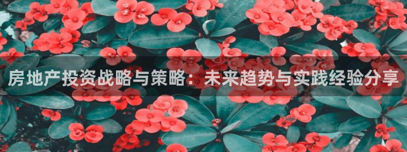 M摩登7：房地产投资战略与策略：未来趋势与实践经验分享