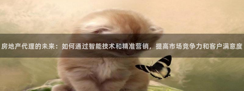 摩登7在线注册加v：房地产代理的未来：如何通过智能技术和精准