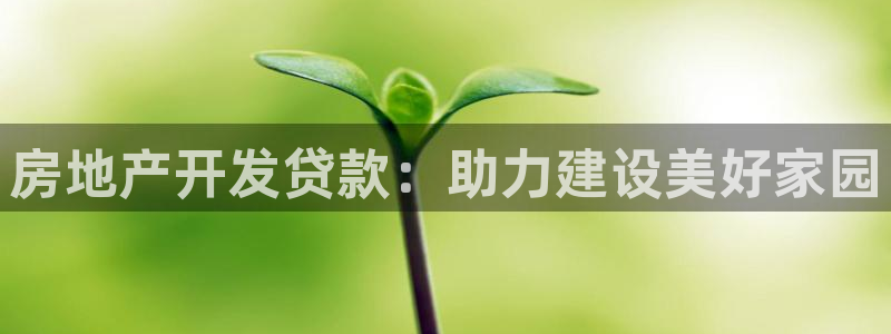摩登7日3299O7：房地产开发贷款：助力建设美好家园