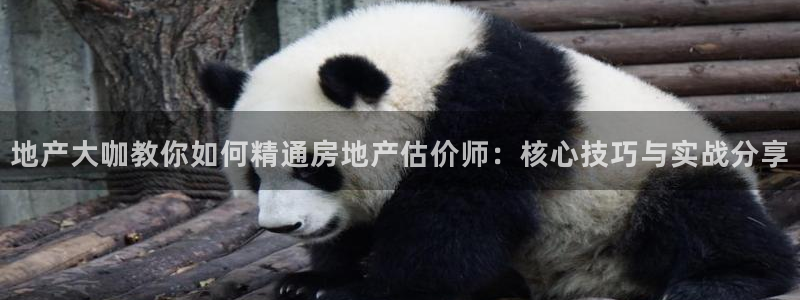 摩登7点：地产大咖教你如何精通房地产估价师：核心技巧与实战分