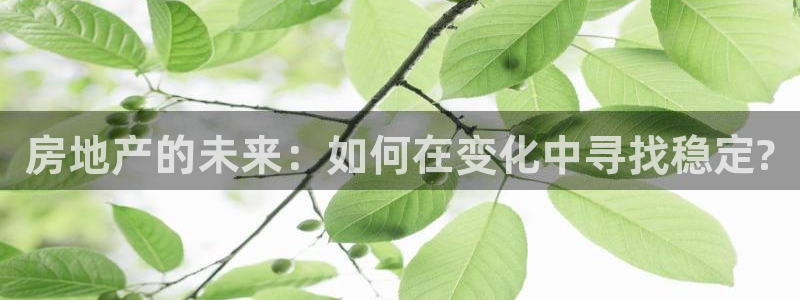 摩登7高阶：房地产的未来：如何在变化中寻找稳定?