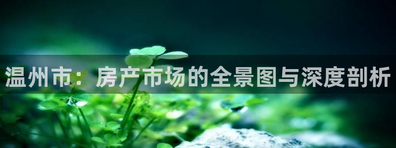 摩登7上7O667：温州市：房产市场的全景图与深度剖析