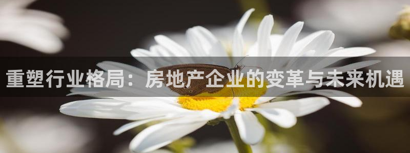 摩登7登陆注册：重塑行业格局：房地产企业的变革与未来机遇