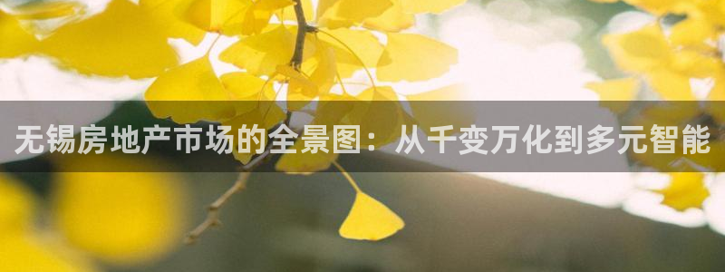 摩登6地7O667：无锡房地产市场的全景图：从千变万化到多元