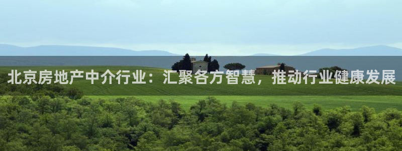 摩登6后7O667：北京房地产中介行业：汇聚各方智慧，推动行