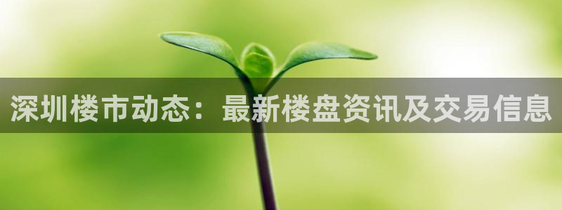 摩登6月7O667：深圳楼市动态：最新楼盘资讯及交易信息