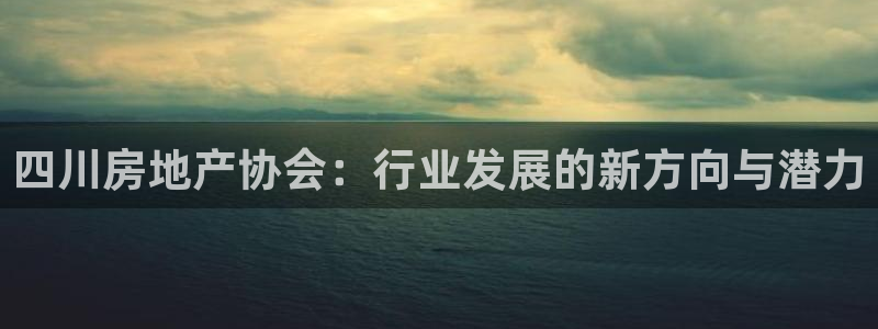 摩登7注册车333OO：四川房地产协会：行业发展的新方向与潜