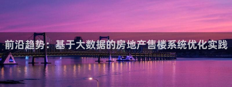 摩登7平台总代理：前沿趋势：基于大数据的房地产售楼系统优化实