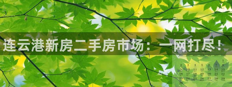 摩登5许7O667：连云港新房二手房市场：一网打尽！