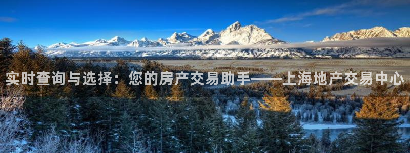 猎杰集团摩登7：实时查询与选择：您的房产交易助手——上海地产