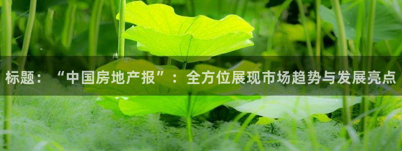 摩登7登录契333OO：标题：“中国房地产报”：全方位展现市