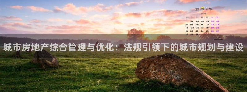 摩登7级：城市房地产综合管理与优化：法规引领下的城市规划与建