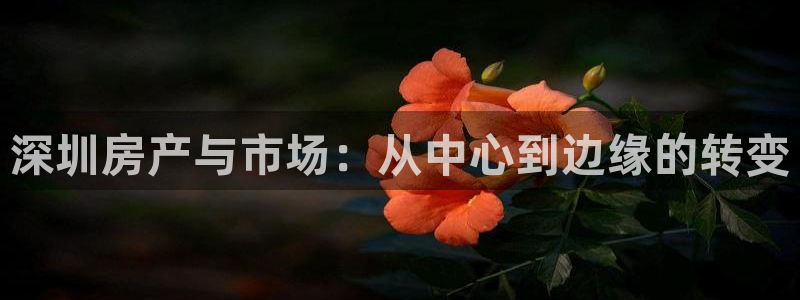 摩登7登录招333OO：深圳房产与市场：从中心到边缘的转变