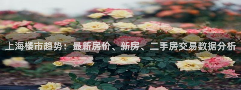 摩登6月7O667：上海楼市趋势：最新房价、新房、二手房交易