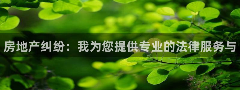 摩登7注册帐号：房地产纠纷：我为您提供专业的法律服务与