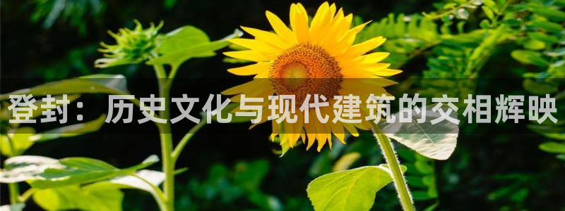 摩登7注册页面：登封：历史文化与现代建筑的交相辉映