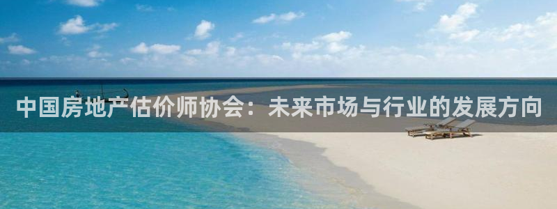 摩登6下7O667：中国房地产估价师协会：未来市场与行业的发