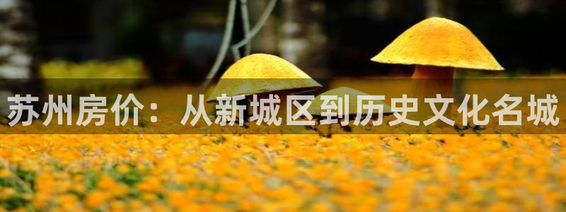 M摩登7：苏州房价：从新城区到历史文化名城