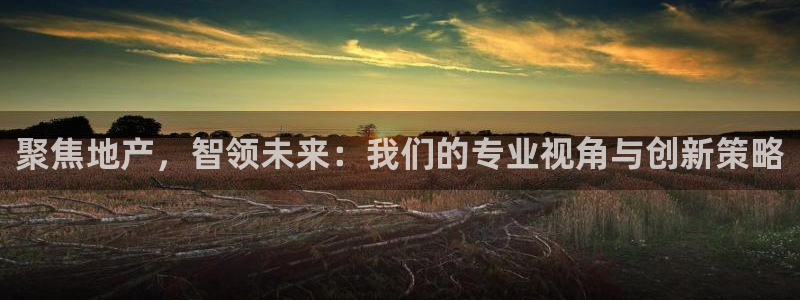 摩登7排名：聚焦地产，智领未来：我们的专业视角与创新策略