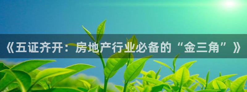摩登5周这7O667：《五证齐开：房地产行业必备的“金三角”
