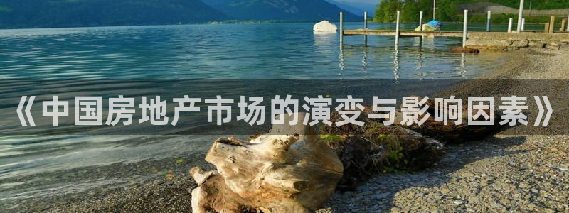 摩登5左7O667：《中国房地产市场的演变与影响因素》