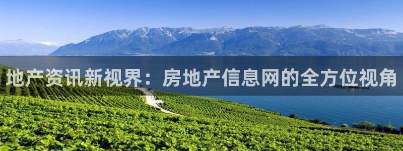 摩登7登录地址：地产资讯新视界：房地产信息网的全方位视角